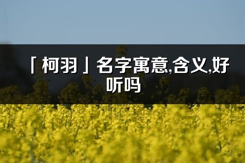 「柯羽」名字寓意,含义,好听吗_柯羽名字分析打分