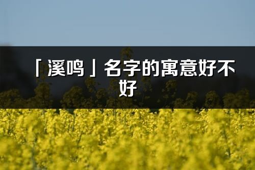 「溪鸣」名字的寓意好不好_溪鸣含义分析