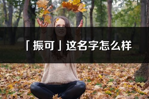 「振可」这名字怎么样_振可的名字解释