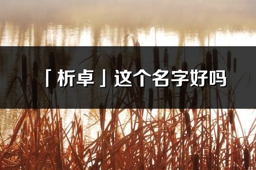 「析卓」这个名字好吗_析卓名字寓意,含义