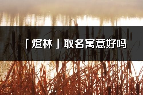 「煊林」取名寓意好吗_煊林名字含义及五行