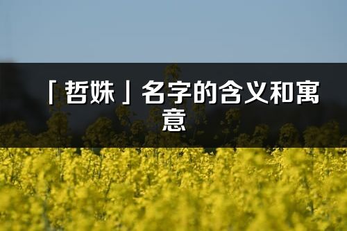 「哲姝」名字的含义和寓意_哲姝的出处与意思解释