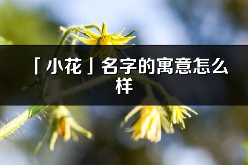 「小花」名字的寓意怎么样_小花的出处