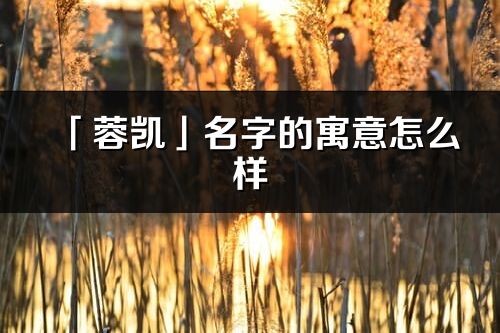 「蓉凯」名字的寓意怎么样_蓉凯的出处