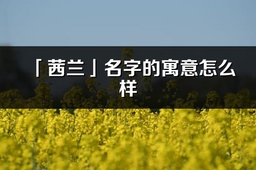 「茜兰」名字的寓意怎么样_茜兰的出处