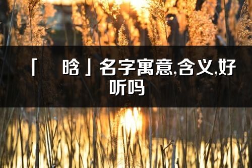 「燚晗」名字寓意,含义,好听吗_燚晗名字分析打分