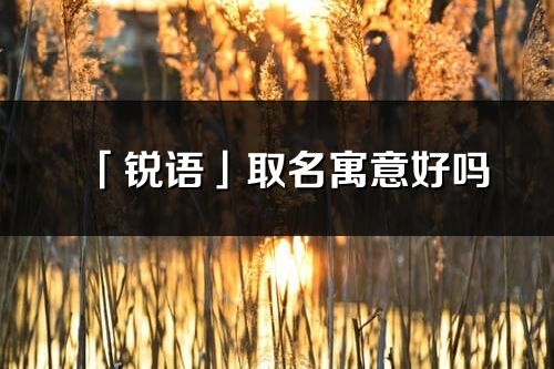 「锐语」取名寓意好吗_锐语名字含义及五行