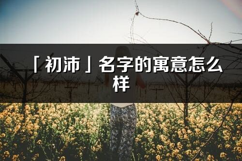 「初沛」名字的寓意怎么样_初沛的出处