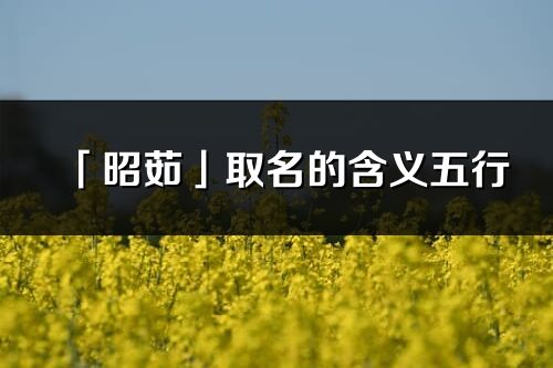 「昭茹」取名的含义五行_昭茹名字寓意解释