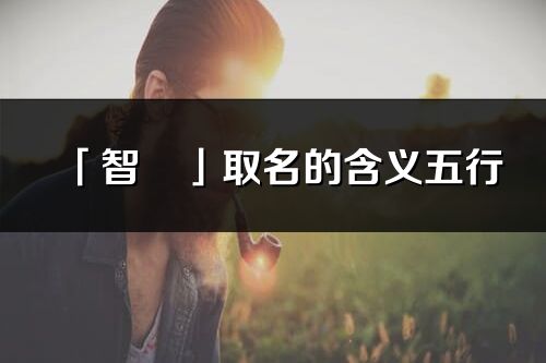 「智彧」取名的含义五行_智彧名字寓意解释