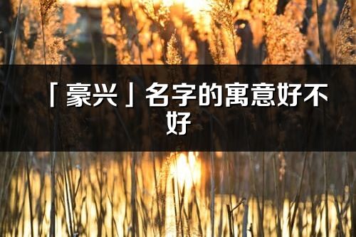 「豪兴」名字的寓意好不好_豪兴含义分析