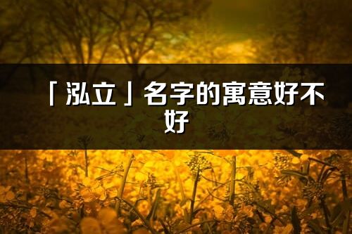 「泓立」名字的寓意好不好_泓立含义分析