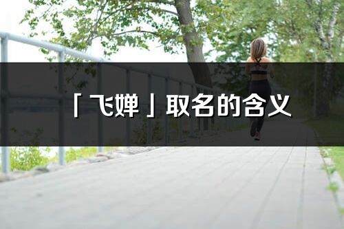 「飞婵」取名的含义_飞婵名字寓意解释