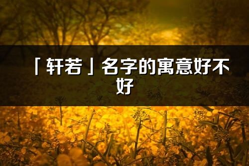 「轩若」名字的寓意好不好_轩若含义分析