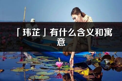 「玮芷」有什么含义和寓意_玮芷名字的出处与意思