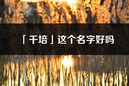 「千培」这个名字好吗_千培名字寓意,含义