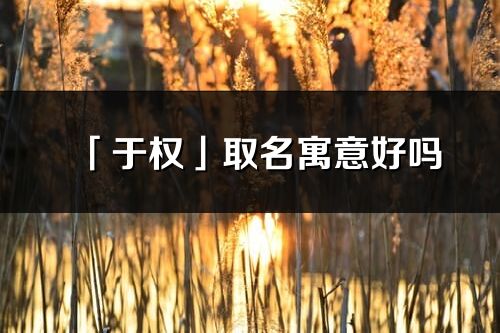 「于权」取名寓意好吗_于权名字含义及五行