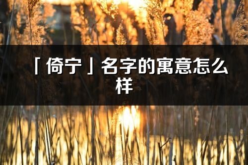 「倚宁」名字的寓意怎么样_倚宁的出处