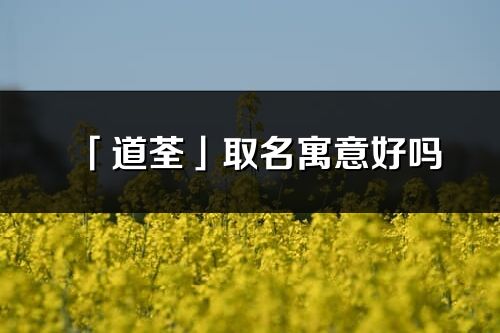 「道荃」取名寓意好吗_道荃名字含义及五行