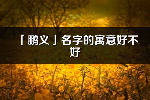 「鹏义」名字的寓意好不好_鹏义含义分析