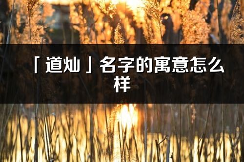 「道灿」名字的寓意怎么样_道灿的出处