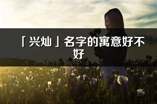 「兴灿」名字的寓意好不好_兴灿含义分析