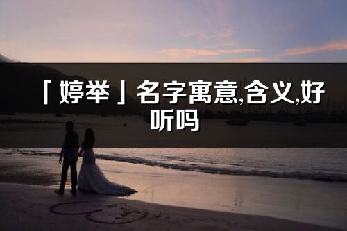 「婷举」名字寓意,含义,好听吗_婷举名字分析打分