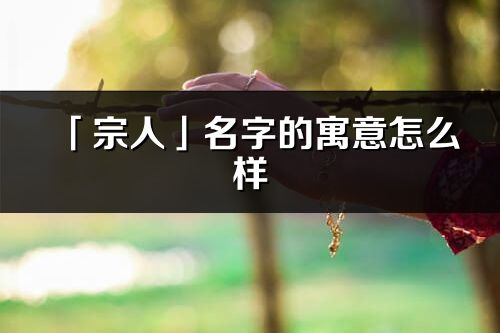 「宗人」名字的寓意怎么样_宗人的出处