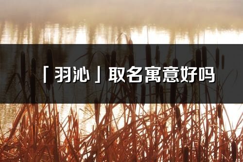 「羽沁」取名寓意好吗_羽沁名字含义及五行