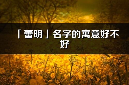 「蕾明」名字的寓意好不好_蕾明含义分析