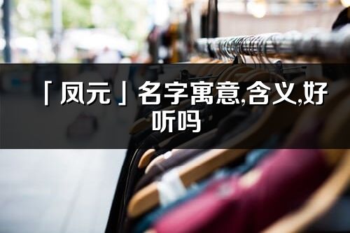 「凤元」名字寓意,含义,好听吗_凤元名字分析打分