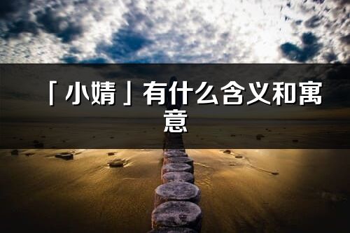 「小婧」有什么含义和寓意_小婧名字的出处与意思