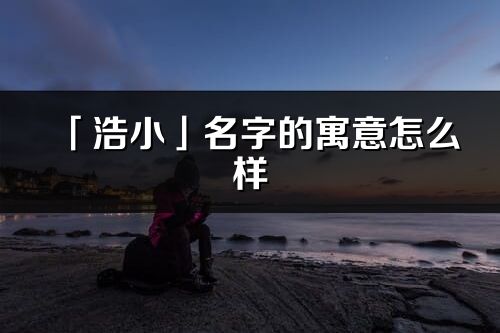 「浩小」名字的寓意怎么样_浩小的出处