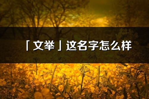 「文举」这名字怎么样_文举的名字解释