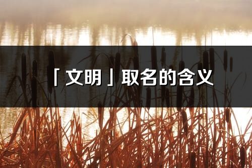 「文明」取名的含义_文明名字寓意解释