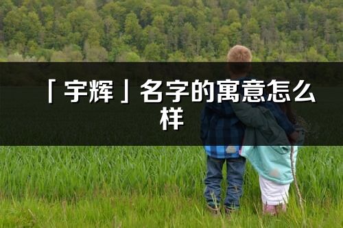 「宇辉」名字的寓意怎么样_宇辉的出处