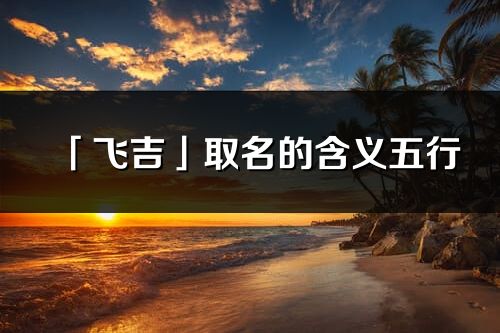 「飞吉」取名的含义五行_飞吉名字寓意解释