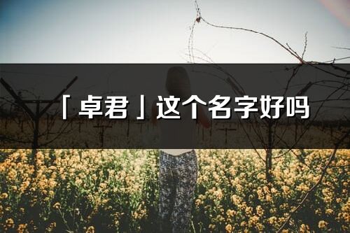 「卓君」这个名字好吗_卓君名字寓意,含义