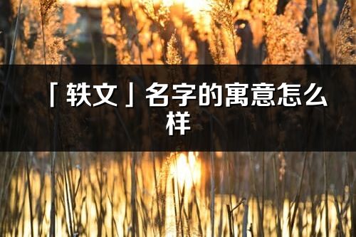 「轶文」名字的寓意怎么样_轶文的出处