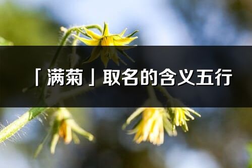 「满菊」取名的含义五行_满菊名字寓意解释