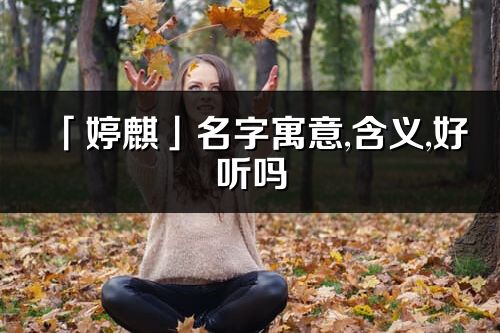 「婷麒」名字寓意,含义,好听吗_婷麒名字分析打分