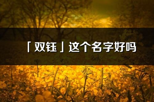 「双钰」这个名字好吗_双钰名字寓意,含义