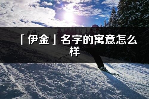 「伊金」名字的寓意怎么样_伊金的出处