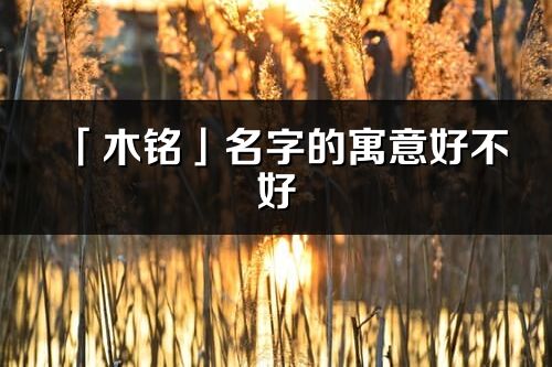 「木铭」名字的寓意好不好_木铭含义分析