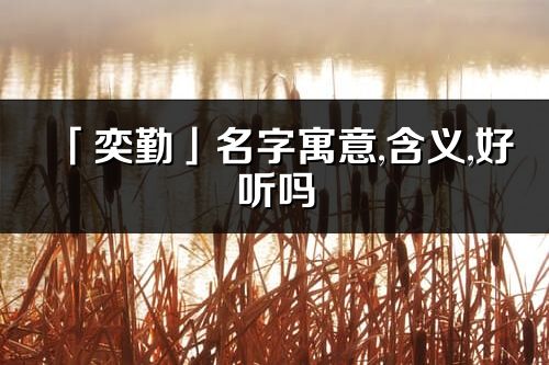 「奕勤」名字寓意,含义,好听吗_奕勤名字分析打分