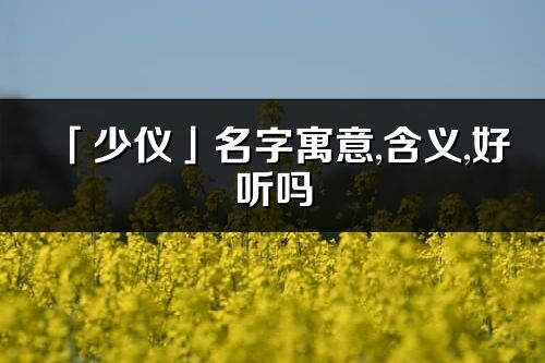 「少仪」名字寓意,含义,好听吗_少仪名字分析打分