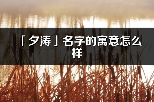 「夕涛」名字的寓意怎么样_夕涛的出处