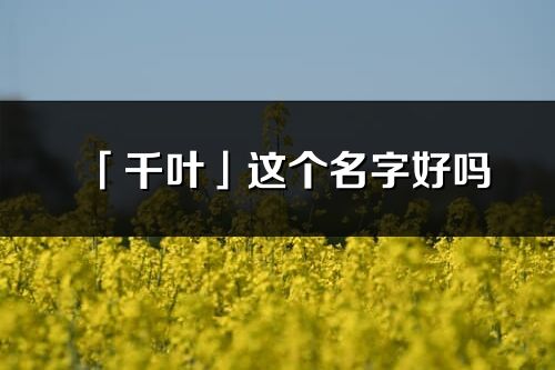 「千叶」这个名字好吗_千叶名字寓意,含义