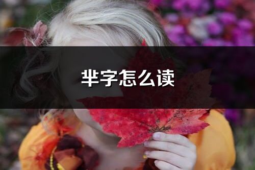 芈字怎么读_芈的读音