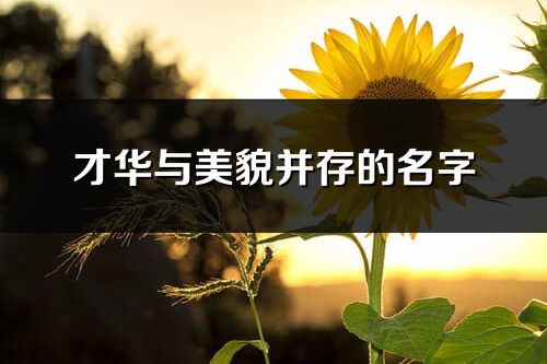 才华与美貌并存的名字